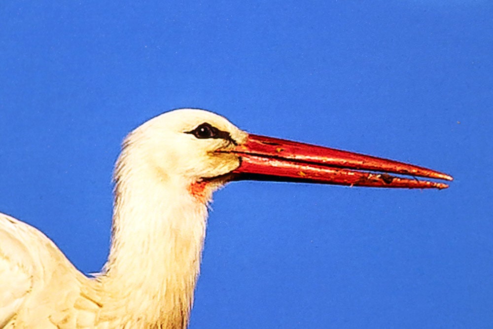 Del 9 al 13 de abril en la Sala de Exposiciones de la Fundación Cajacírculo