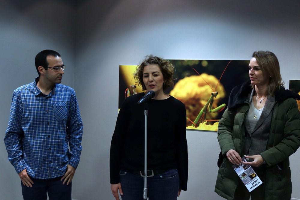 Del 9 al 13 de abril en la Sala de Exposiciones de la Fundación Cajacírculo