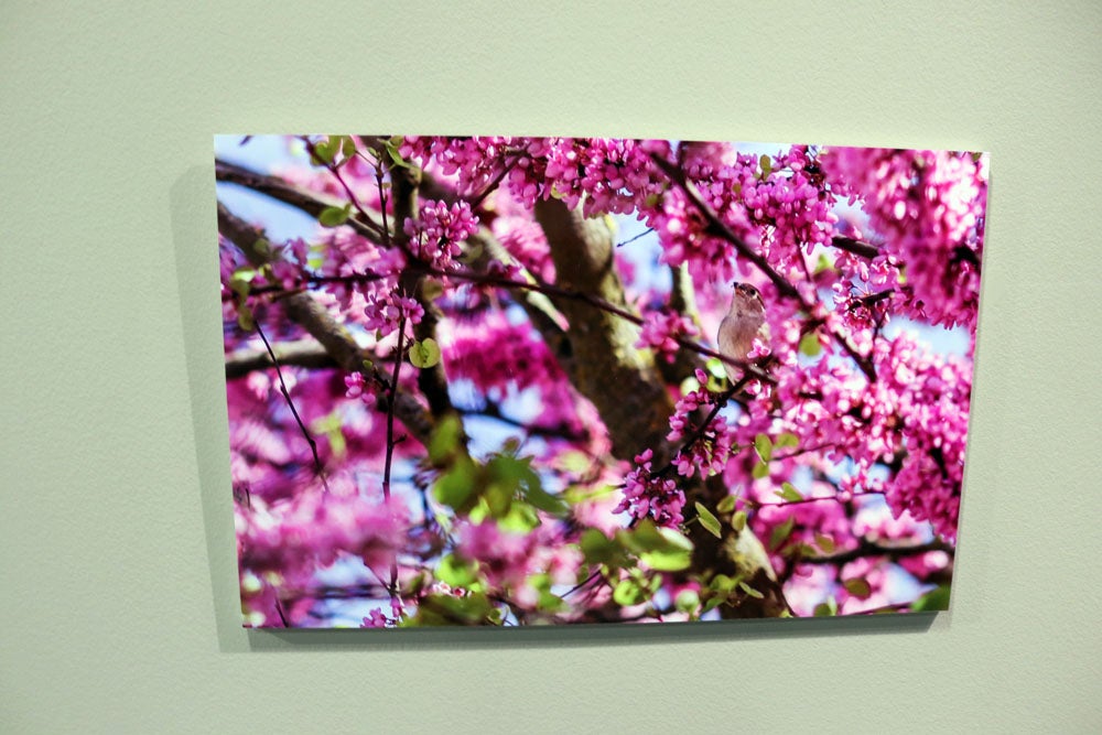 Del 9 al 13 de abril en la Sala de Exposiciones de la Fundación Cajacírculo