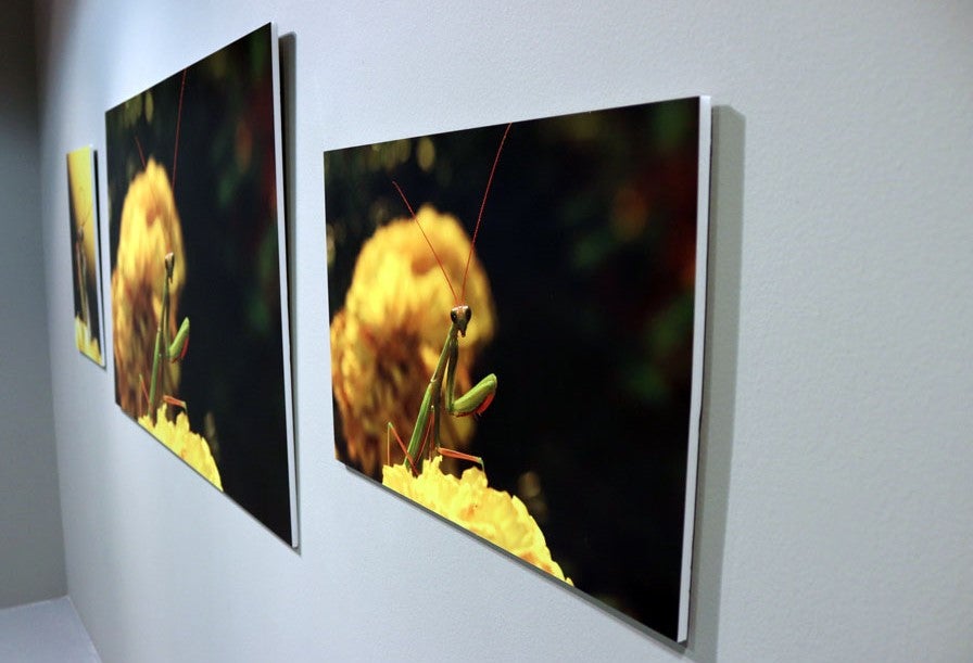 Del 9 al 13 de abril en la Sala de Exposiciones de la Fundación Cajacírculo