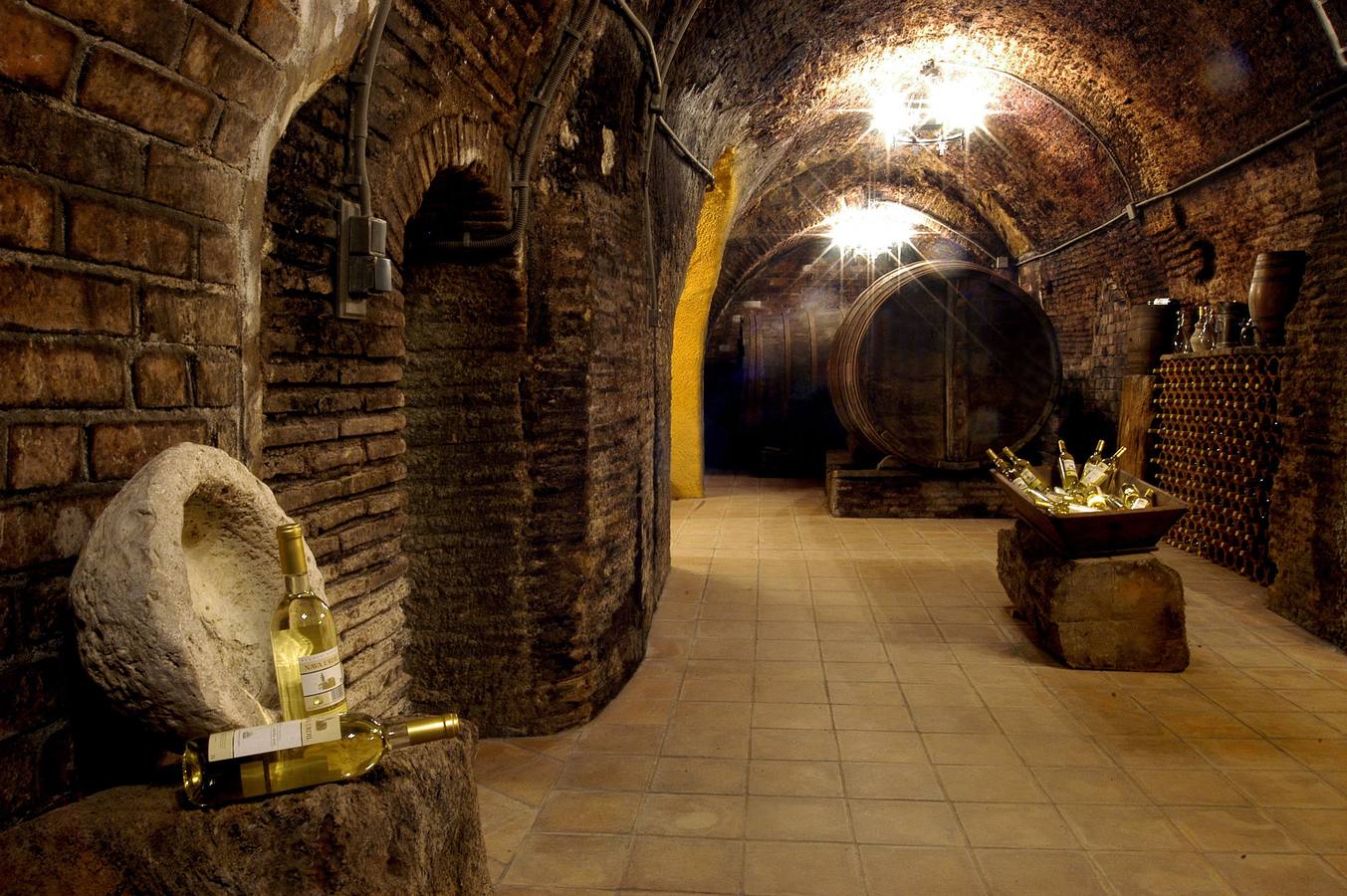 Visita a las bodegas de Valladolid. La provincia cuenta con una red de bodegas visitables en las que el visitante podrá recorrer sus instalaciones y degustar sus caldos.