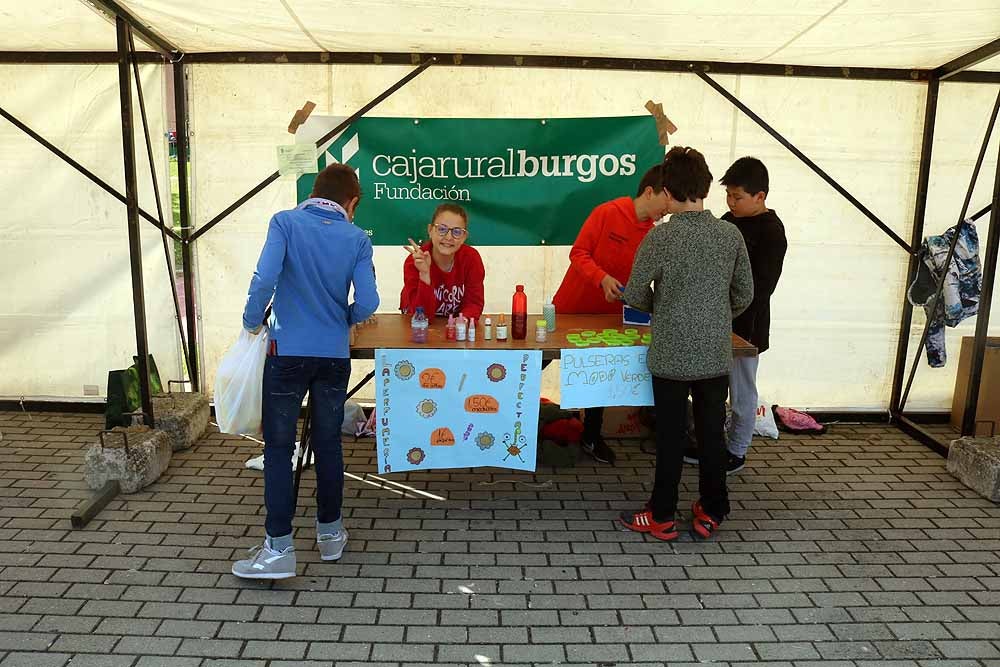 Fotos: En imágenes la 12º Feria Pequeños Emprendedores