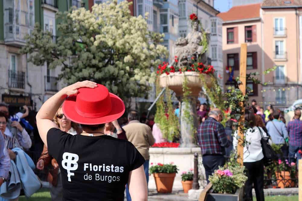 Fotos: Las mejores imágenes de la Fiesta de las Flores