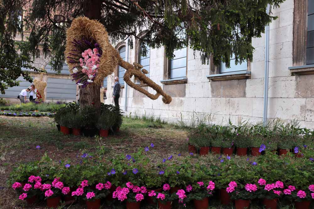 Fotos: Las mejores imágenes de la Fiesta de las Flores