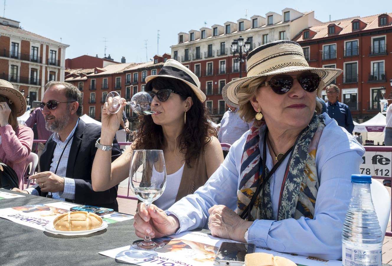 Fotos: Cata del sábado por la mañana en la feria &#039;Valladolid, Plaza Mayor del Vino&#039;