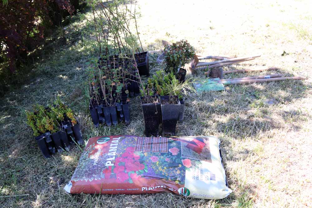 Fotos: Centenares de burgaleses han plantado árboles en la ladera del Castillo