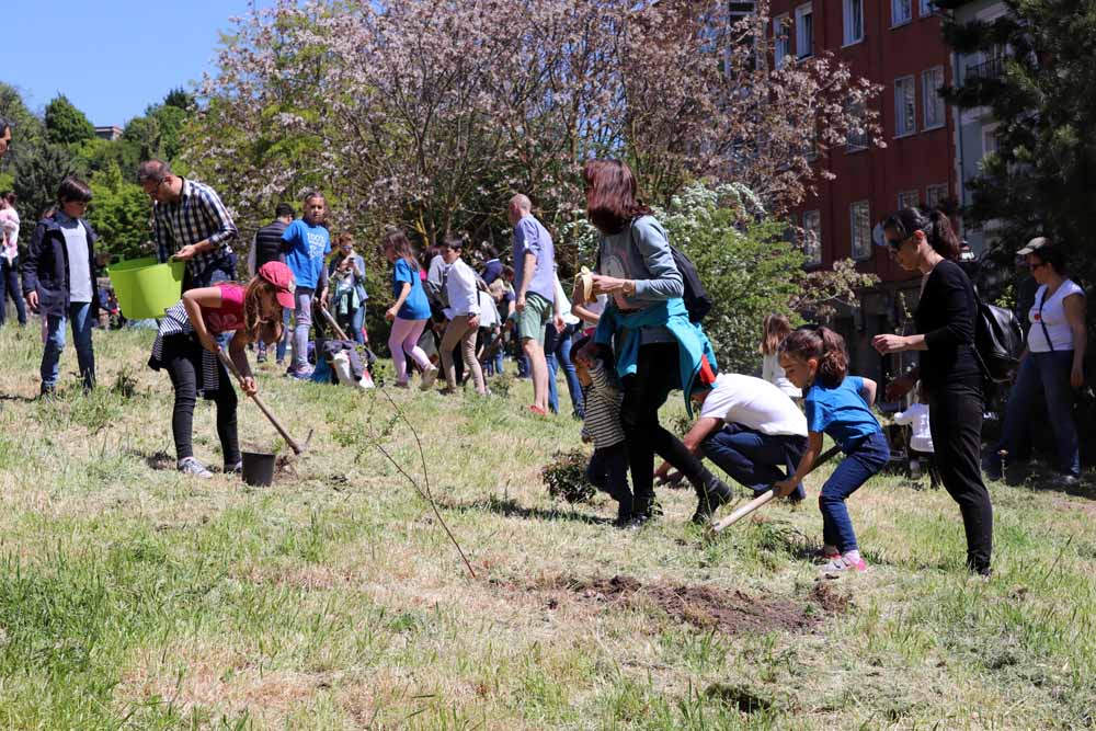 Fotos: Centenares de burgaleses han plantado árboles en la ladera del Castillo