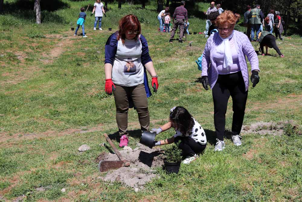 Fotos: Centenares de burgaleses han plantado árboles en la ladera del Castillo