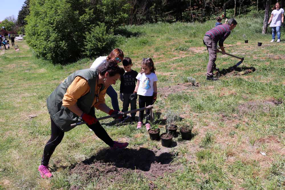 Fotos: Centenares de burgaleses han plantado árboles en la ladera del Castillo