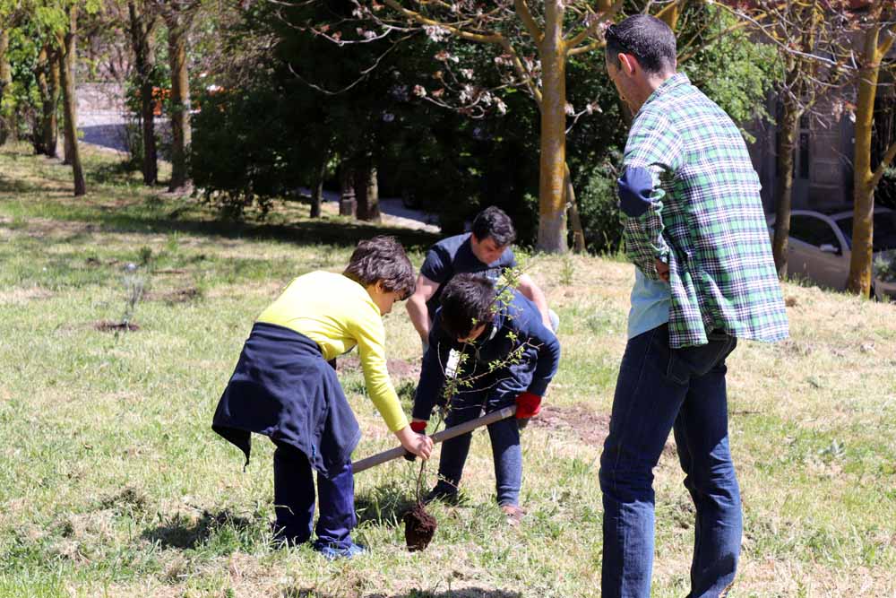 Fotos: Centenares de burgaleses han plantado árboles en la ladera del Castillo