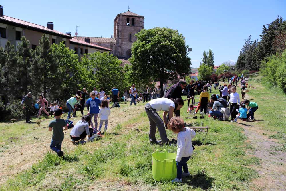 Fotos: Centenares de burgaleses han plantado árboles en la ladera del Castillo