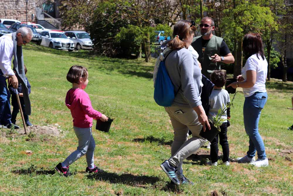 Fotos: Centenares de burgaleses han plantado árboles en la ladera del Castillo