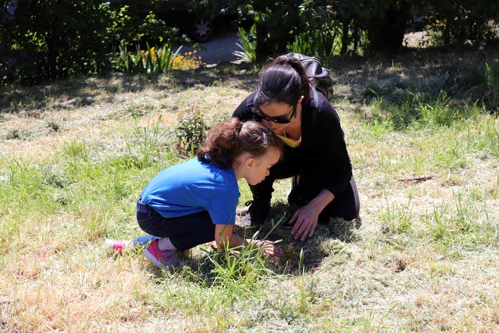 Fotos: Centenares de burgaleses han plantado árboles en la ladera del Castillo