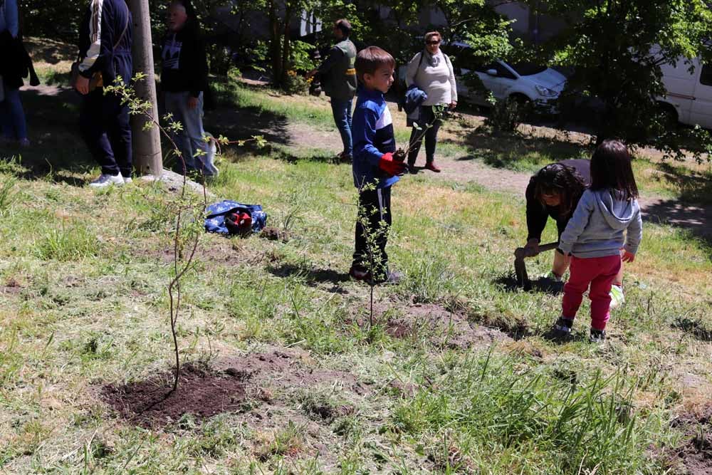 Fotos: Centenares de burgaleses han plantado árboles en la ladera del Castillo