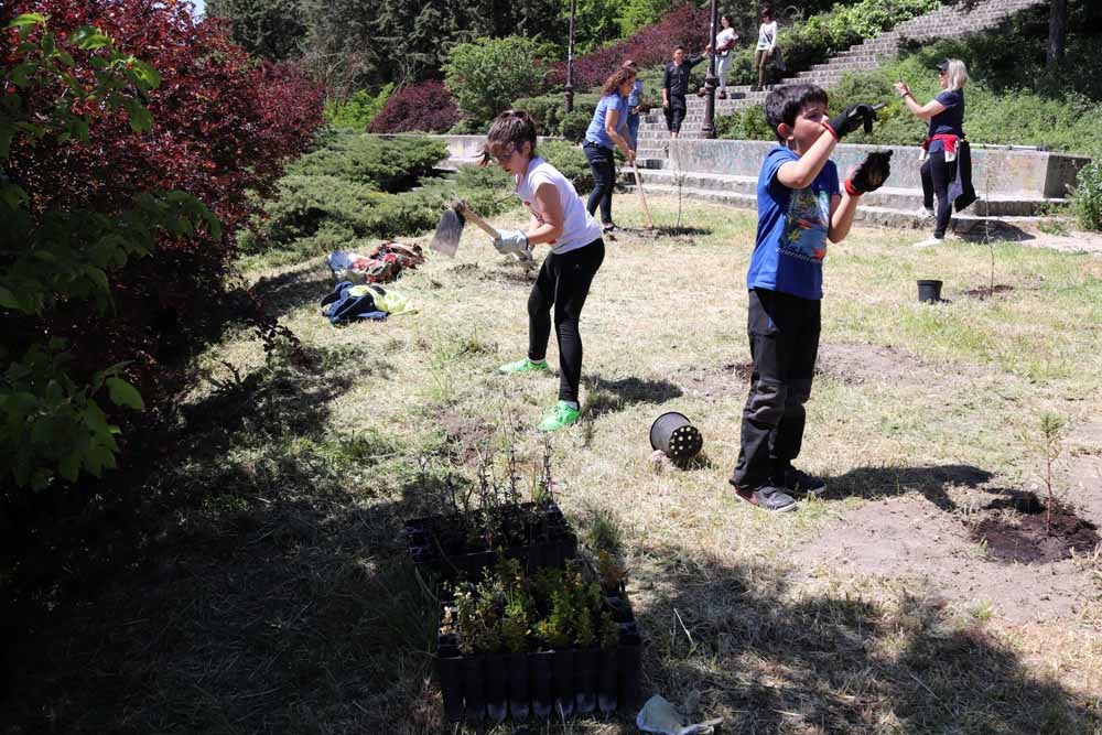 Fotos: Centenares de burgaleses han plantado árboles en la ladera del Castillo