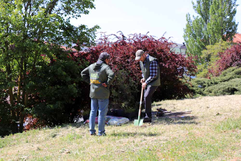 Fotos: Centenares de burgaleses han plantado árboles en la ladera del Castillo