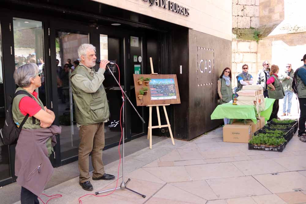 Fotos: Centenares de burgaleses han plantado árboles en la ladera del Castillo