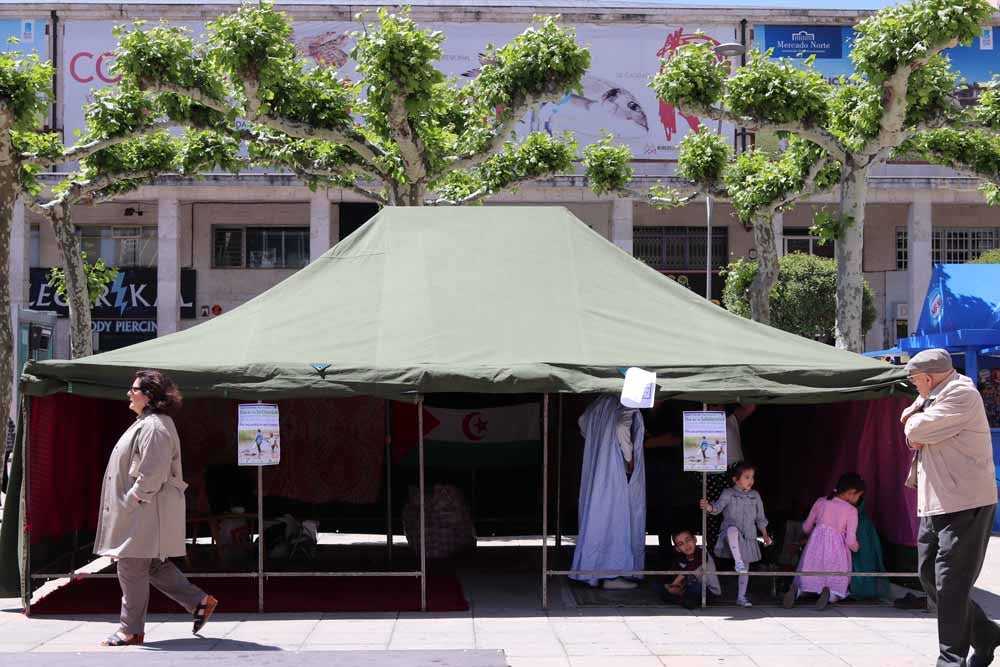 Fotos: Día de la Solidaridad