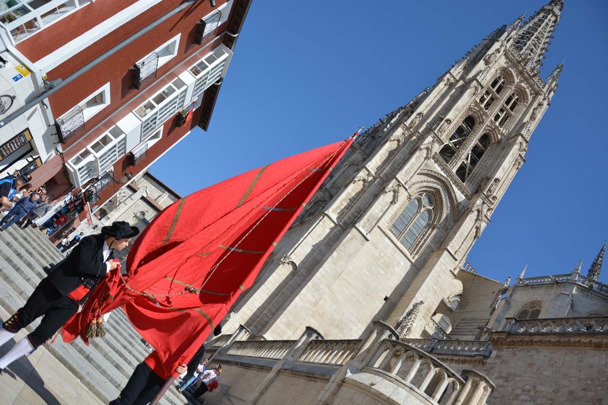 Fotos: Ofrenda Floral a Santa María La Mayor