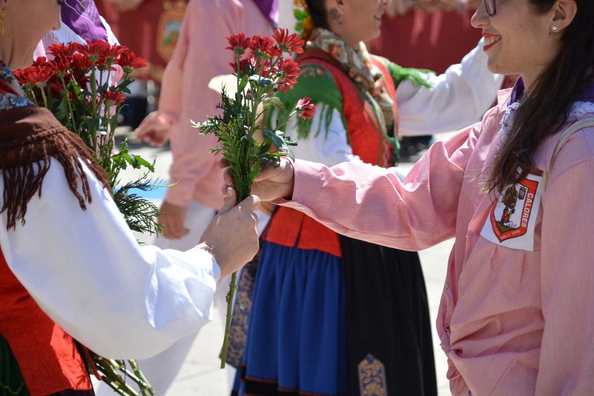 Fotos: Ofrenda Floral a Santa María La Mayor