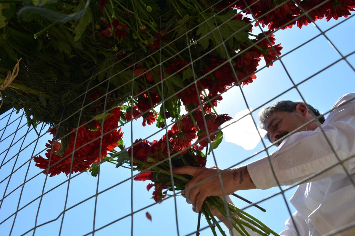 Fotos: Ofrenda Floral a Santa María La Mayor