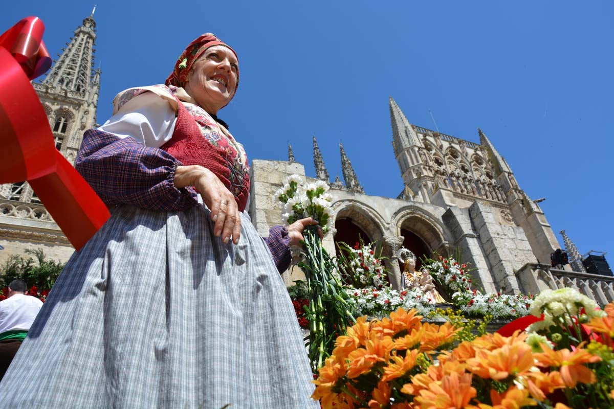 Fotos: Ofrenda Floral a Santa María La Mayor