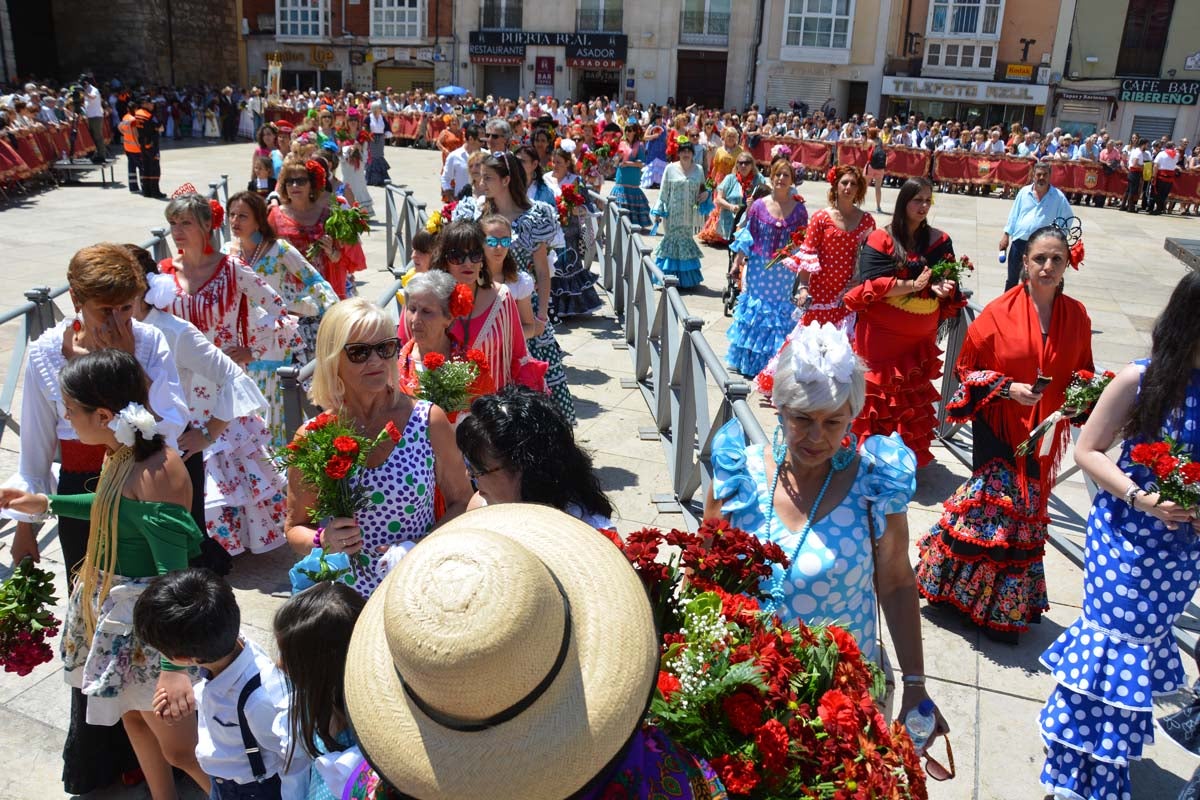 Fotos: Ofrenda Floral a Santa María La Mayor