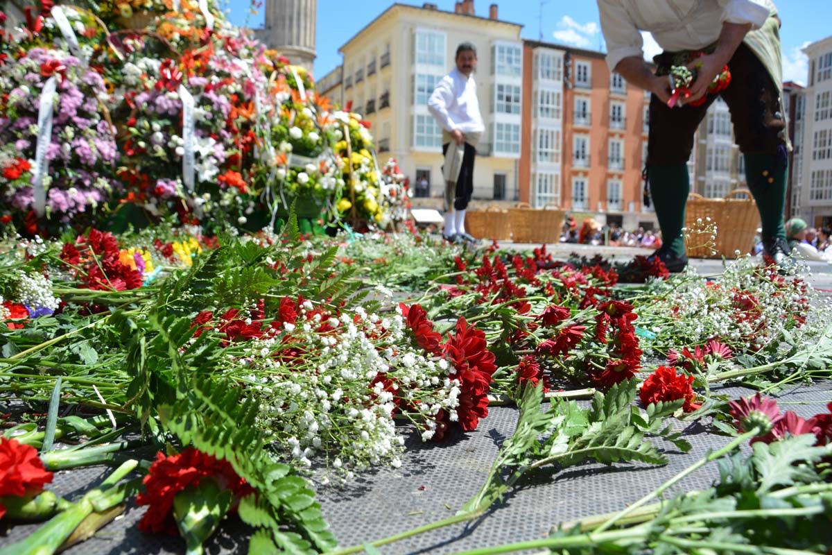 Fotos: Ofrenda Floral a Santa María La Mayor