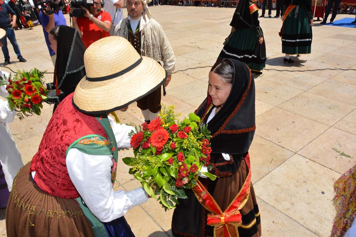 Fotos: Ofrenda Floral a Santa María La Mayor