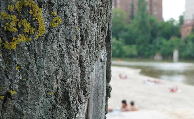 Playa de las Moreras de Valladolid. 