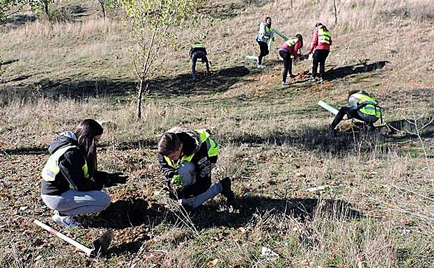 Un grupo de jóvenes, plantando árboles.