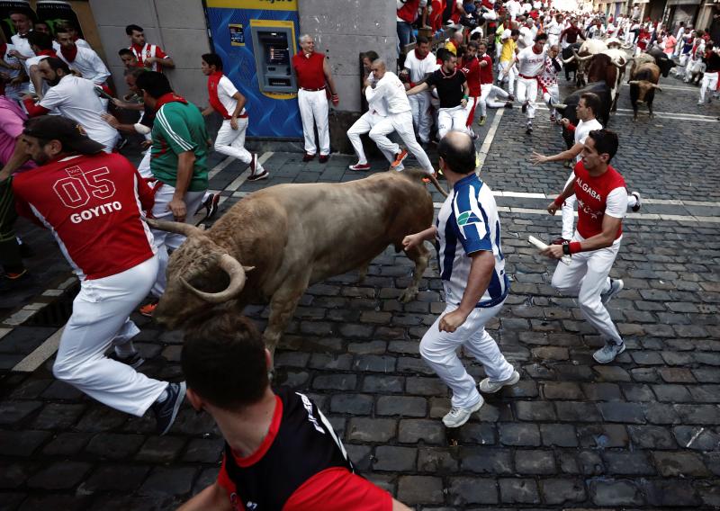 Los astados protagonizan una carrera rápida con algunos momentos de tensión