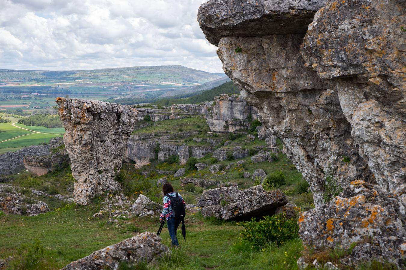 En la localidad palentina de Villaescusa de las Tuerces se levanta las gigantescas piedras en forma de setas, puentes y arcos naturales, cerrados callejones y umbrías covachuelas que dan lugar a un encantado paisaje en el que parecen habitar duendes y brujas