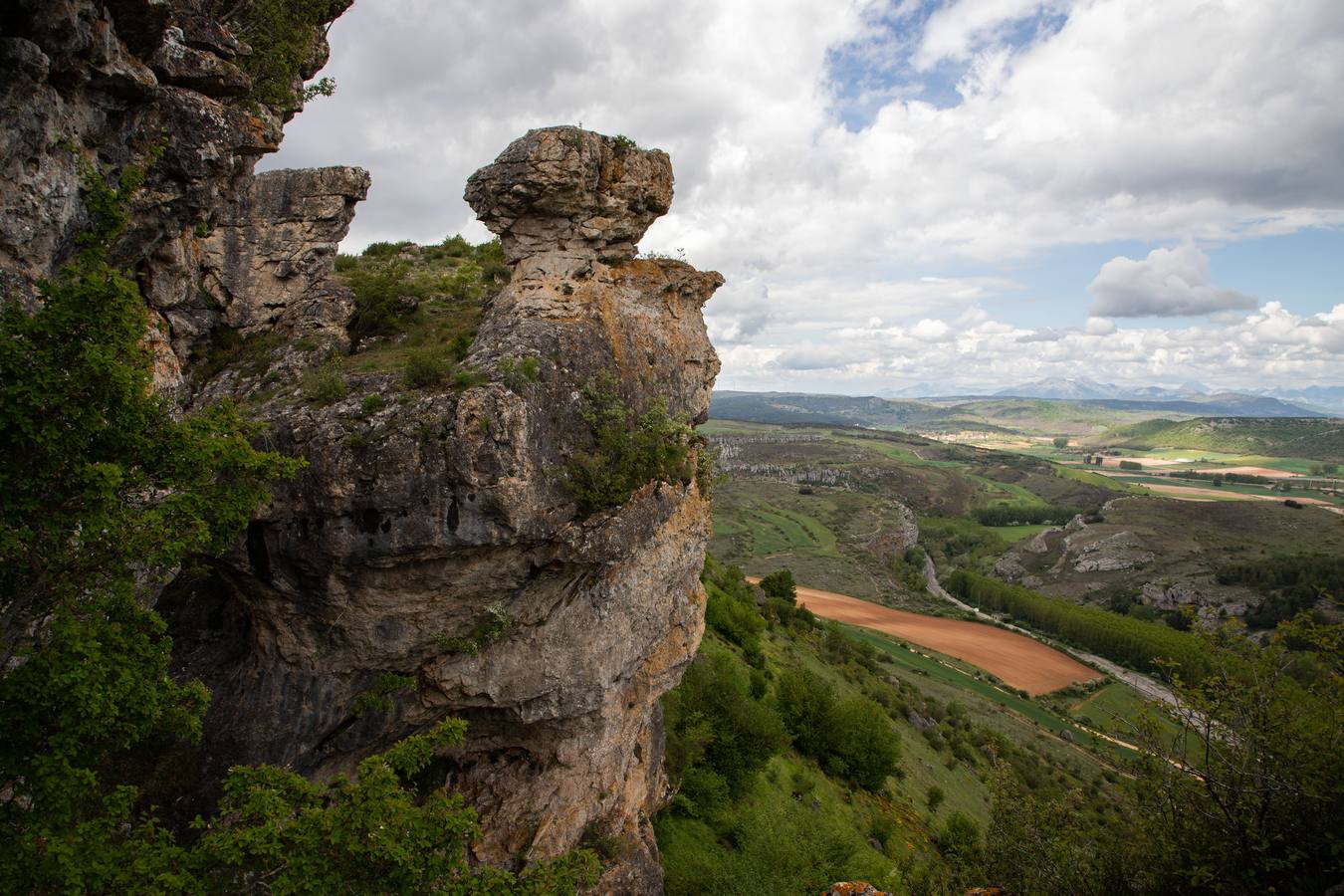 En la localidad palentina de Villaescusa de las Tuerces se levanta las gigantescas piedras en forma de setas, puentes y arcos naturales, cerrados callejones y umbrías covachuelas que dan lugar a un encantado paisaje en el que parecen habitar duendes y brujas