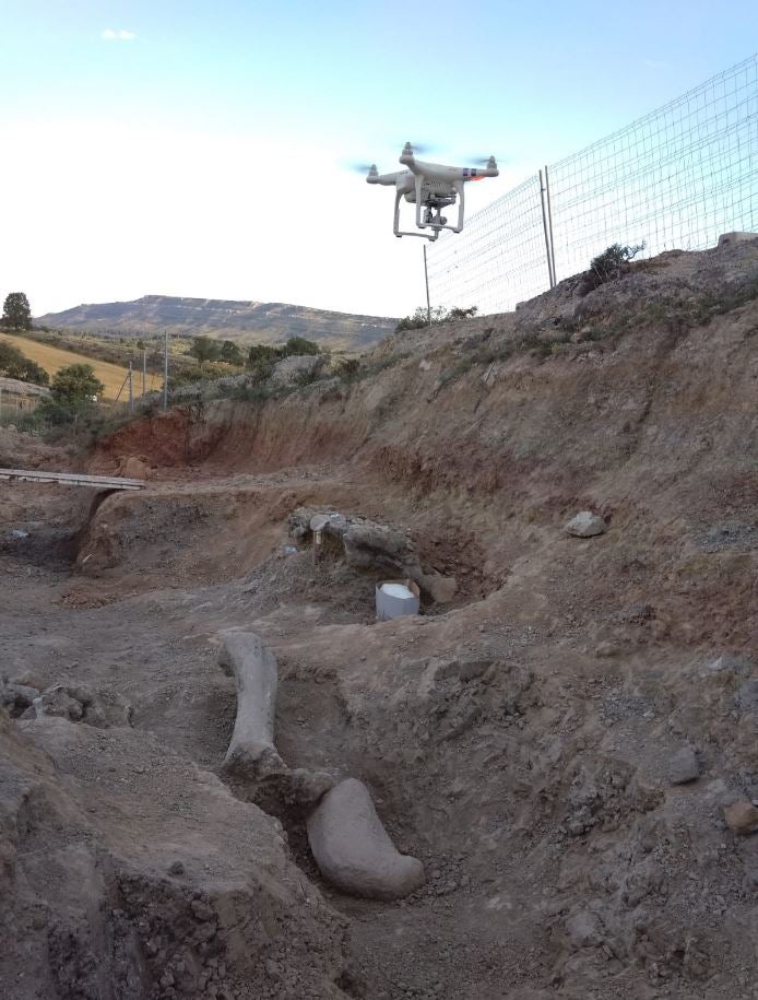 Fotos: El Colectivo Arqueológico Salense descubre importantes restos de un saurópodo