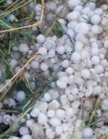 Imagen secundaria 2 - Ejemplos del efecto demoledor del pedrisco