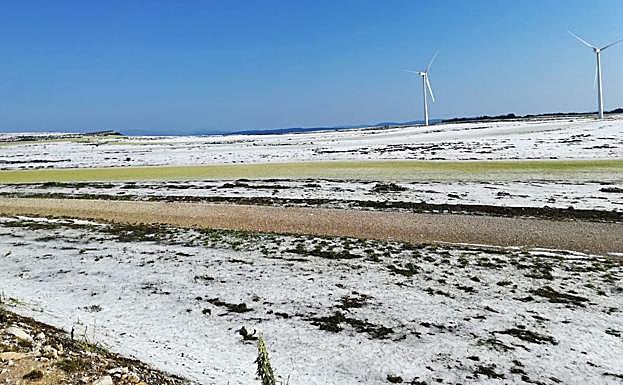 Imagen principal - Ejemplos del efecto demoledor del pedrisco