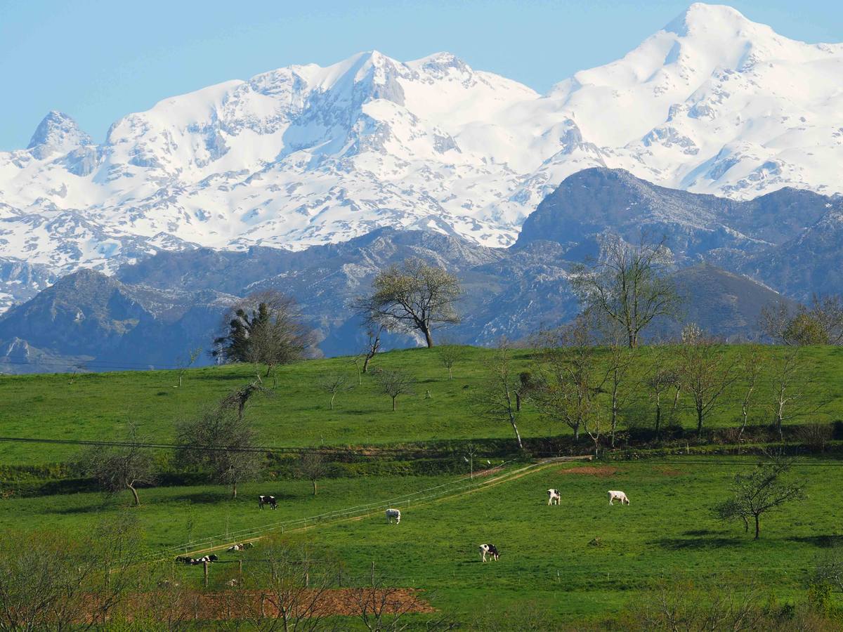 Parque Nacional Picos de Europa.