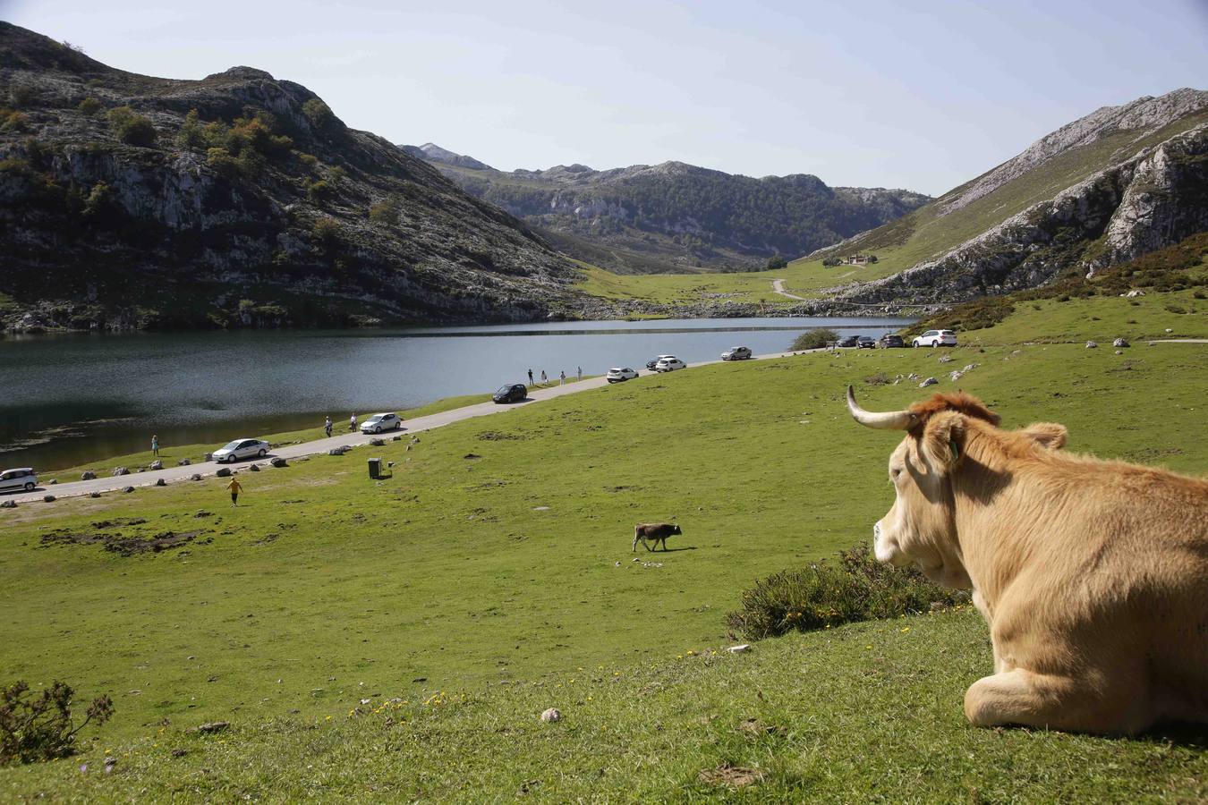 Parque Nacional Picos de Europa.