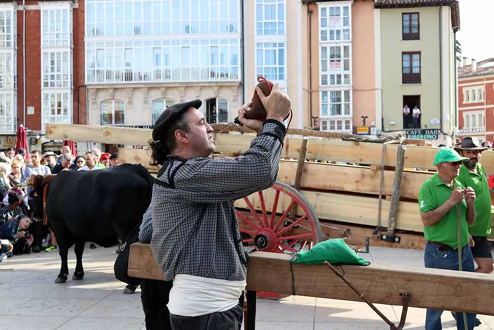 Fotos: Los materiales que dieron forma a la Catedral vuelven en bueyes y vacas serranas