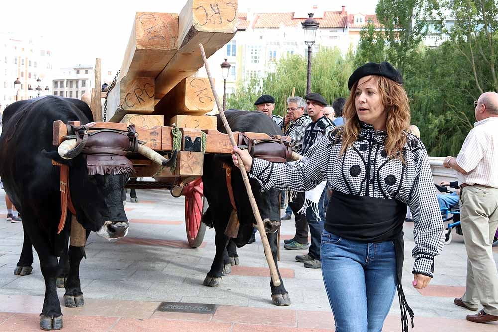 Fotos: Los materiales que dieron forma a la Catedral vuelven en bueyes y vacas serranas