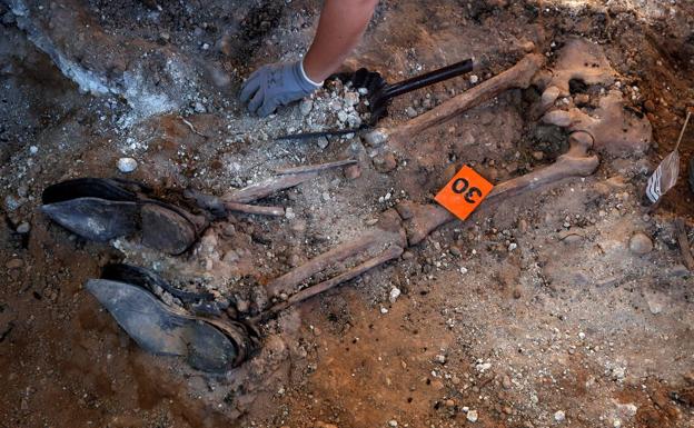 Galería. Trabajos de exhumación en el cementerio de El Carmen de Valladolid.