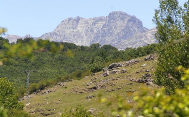 Pico Curavacas.