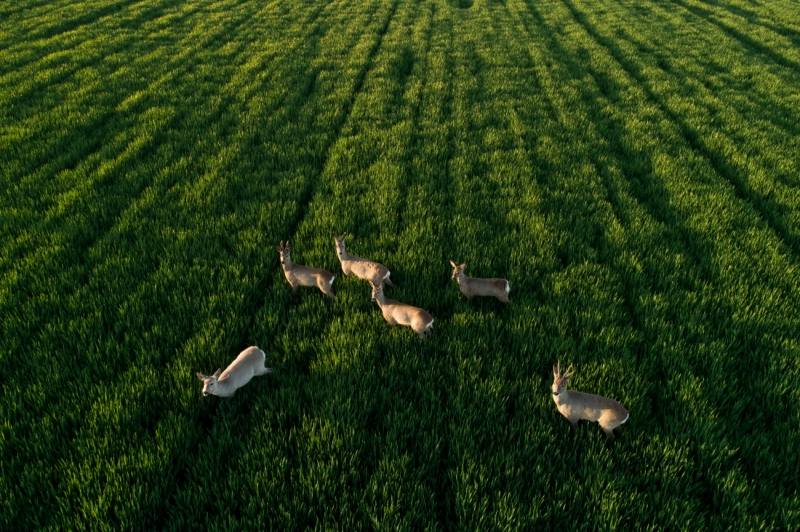 Fotos: Las imágenes más espectaculares captadas con drones