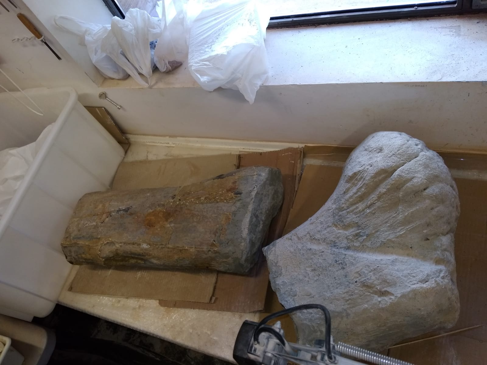 Fotos: Balance de la Campaña 2018 de excavaciones en el yacimiento de restos de dinosaurios Valdepalazuelos-Tenadas del Carrascal de Torrelara