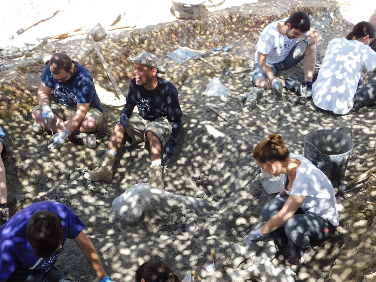 Fotos: Balance de la Campaña 2018 de excavaciones en el yacimiento de restos de dinosaurios Valdepalazuelos-Tenadas del Carrascal de Torrelara