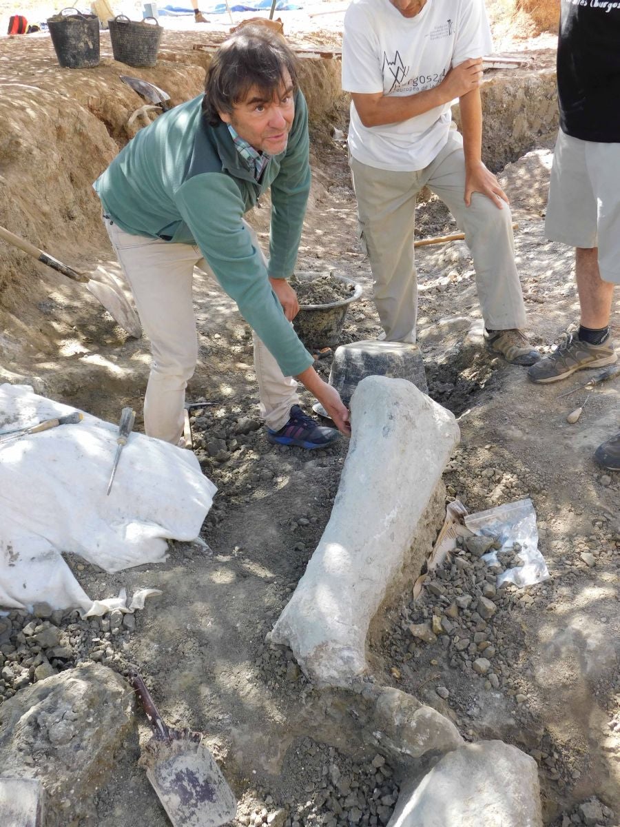 Fotos: Balance de la Campaña 2018 de excavaciones en el yacimiento de restos de dinosaurios Valdepalazuelos-Tenadas del Carrascal de Torrelara