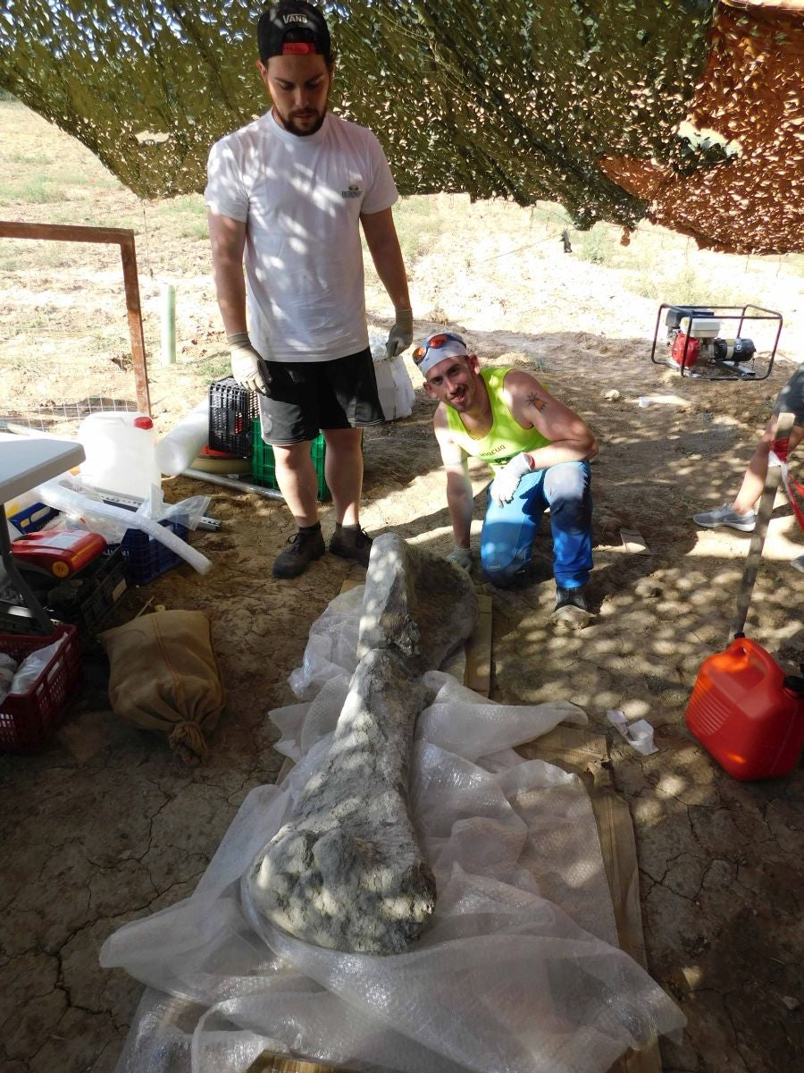 Fotos: Balance de la Campaña 2018 de excavaciones en el yacimiento de restos de dinosaurios Valdepalazuelos-Tenadas del Carrascal de Torrelara