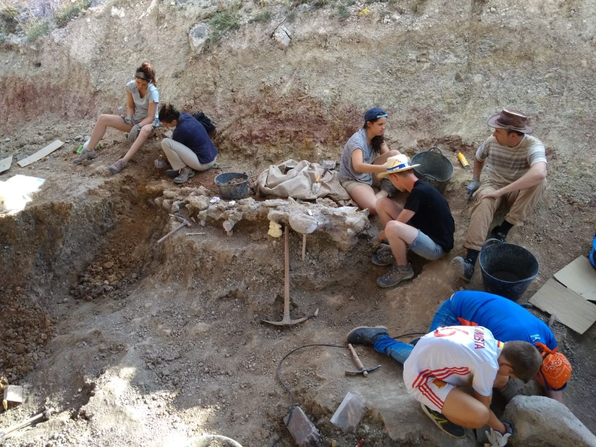 La excavación de Torrelara (en la foto) recibirá 12.504 euros. 