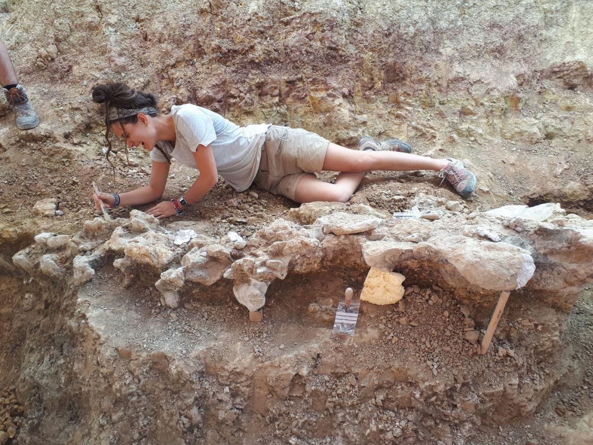 Fotos: Balance de la Campaña 2018 de excavaciones en el yacimiento de restos de dinosaurios Valdepalazuelos-Tenadas del Carrascal de Torrelara
